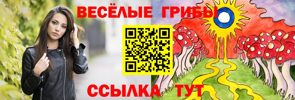 Вышний Волочёк  Галлюциногенные грибы мицелий  Вход с VPN 